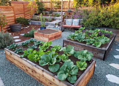 How to Build a Raised Herb Garden With Pallets
