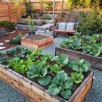 How to Build a Raised Herb Garden With Pallets